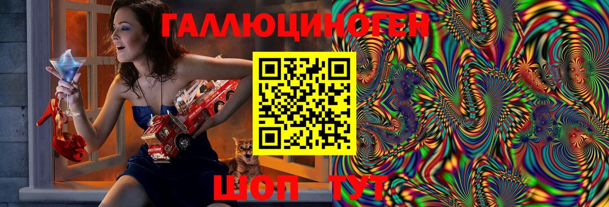 Галлюциногенные грибы Psilocybe  Вход с VPN  что такое наркотик  Гусиноозёрск 